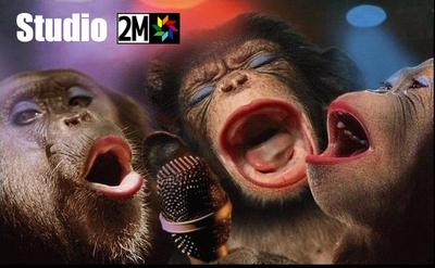 les star de studio 2m